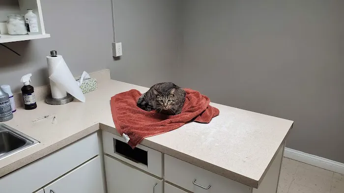 Southgate Veterinary Clinic Picture 6