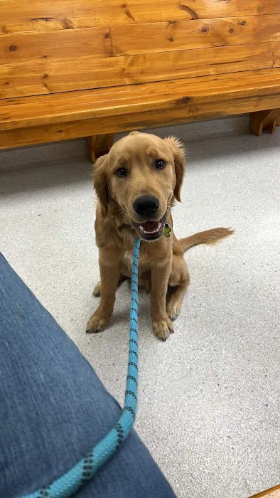 Princeton Veterinary Hospital Picture 7