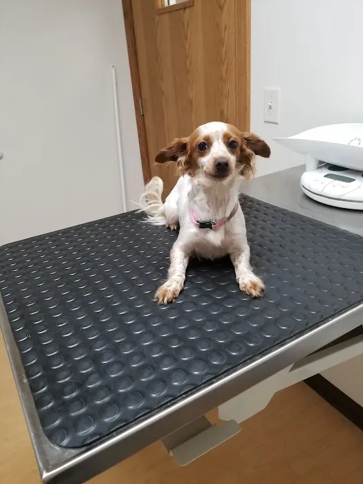 Princeton Veterinary Hospital Picture 6