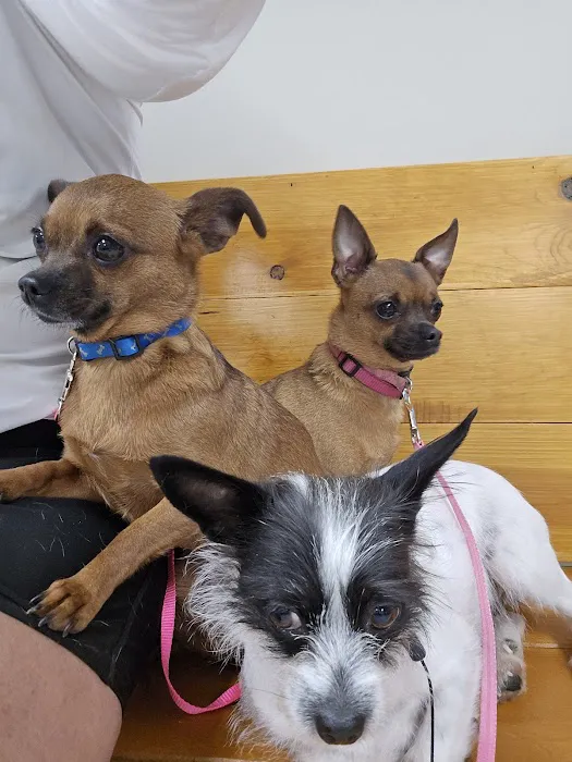 Princeton Veterinary Hospital Picture 10