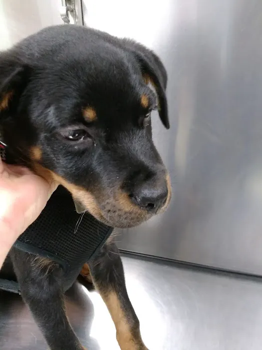 Princeton Veterinary Hospital Picture 1