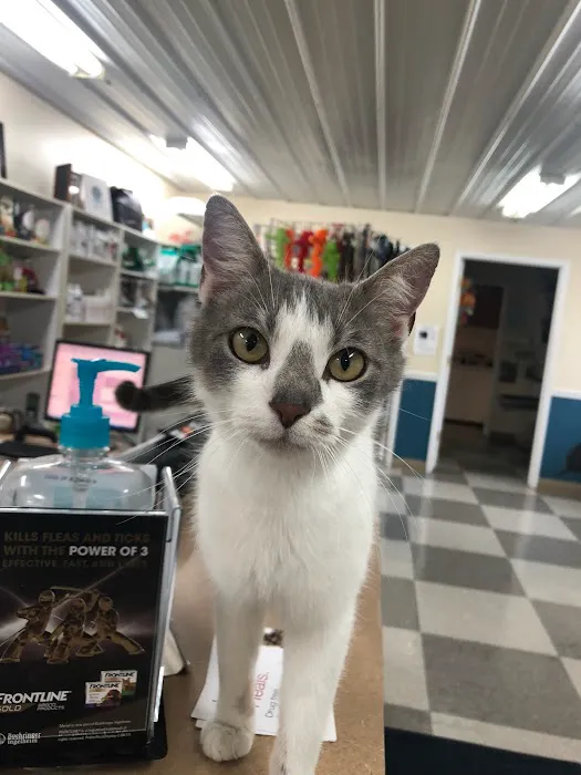County Seat Veterinary Hospital Picture 1