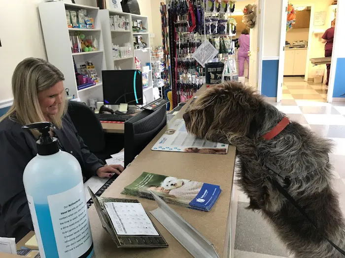 County Seat Veterinary Hospital Picture 6