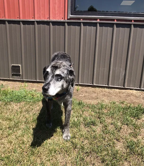 County Seat Veterinary Hospital Picture 10