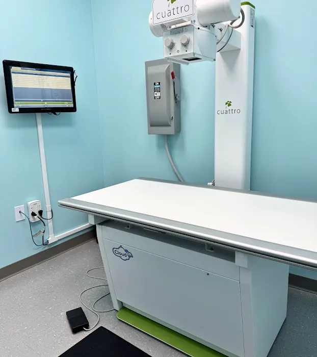 VetCheck Pet Urgent Care Center - Indianapolis Picture 2