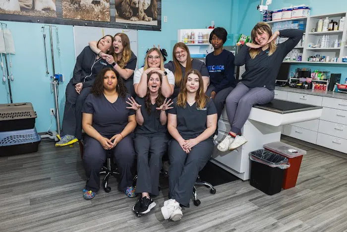 VetCheck Pet Urgent Care Center - Indianapolis Picture 10