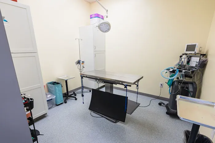 VetCheck Pet Urgent Care Center - Indianapolis Picture 3