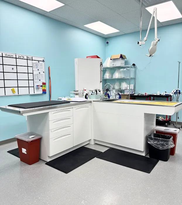 VetCheck Pet Urgent Care Center - Indianapolis Picture 7