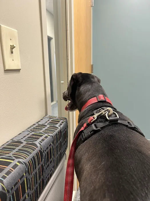 IndyVet Emergency & Specialty Hospital Picture 1