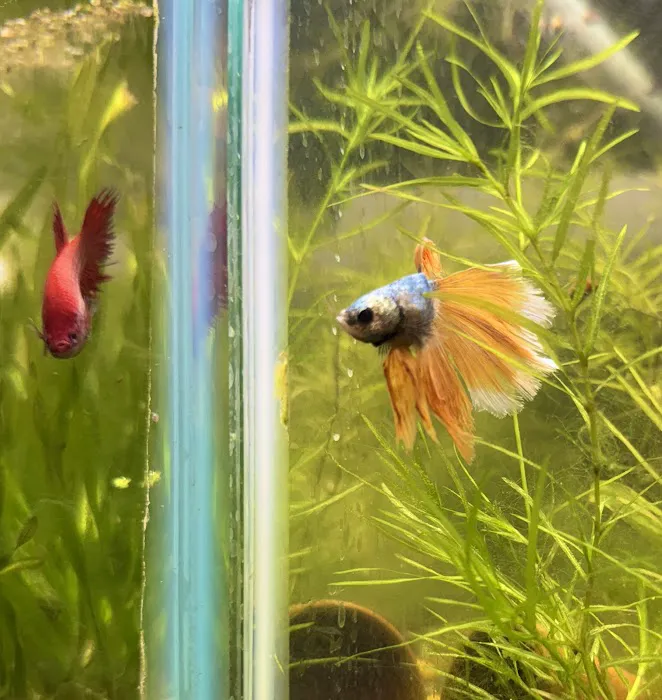Fish Happens Picture 7