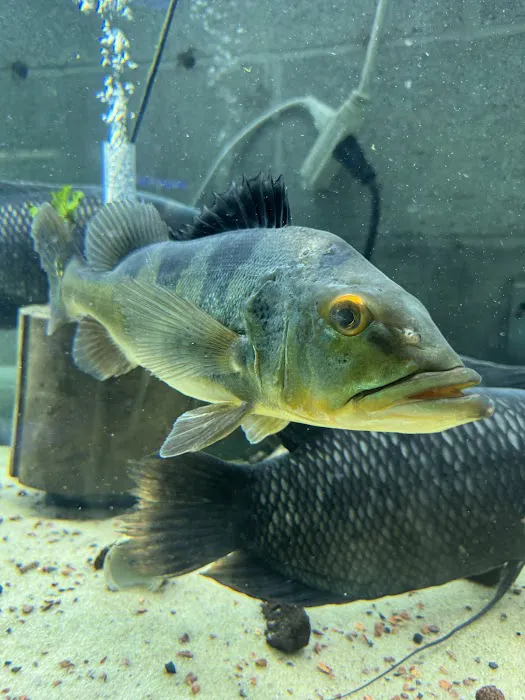 Fish Happens Picture 2