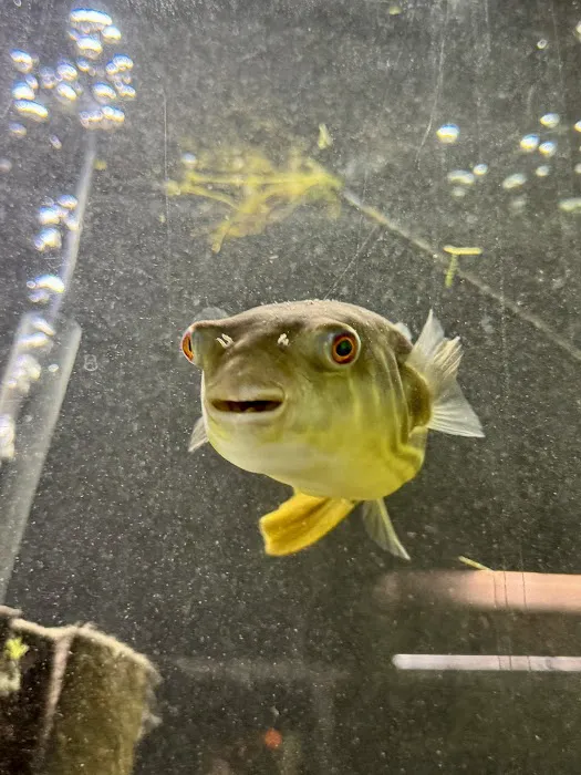 Fish Happens Picture 4