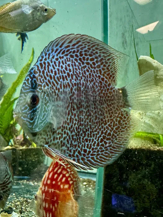 Fish Happens Picture 5