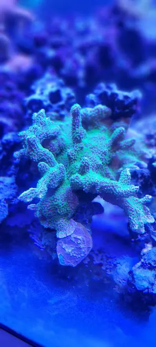 Modern Aquatix Picture 7