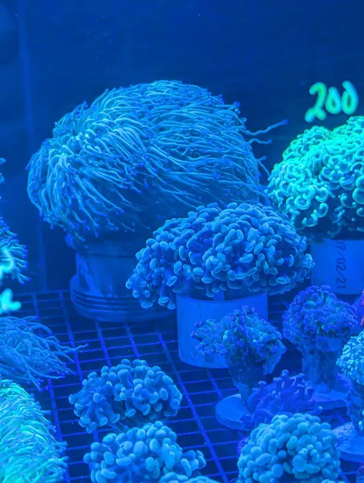 Modern Aquatix Picture 1