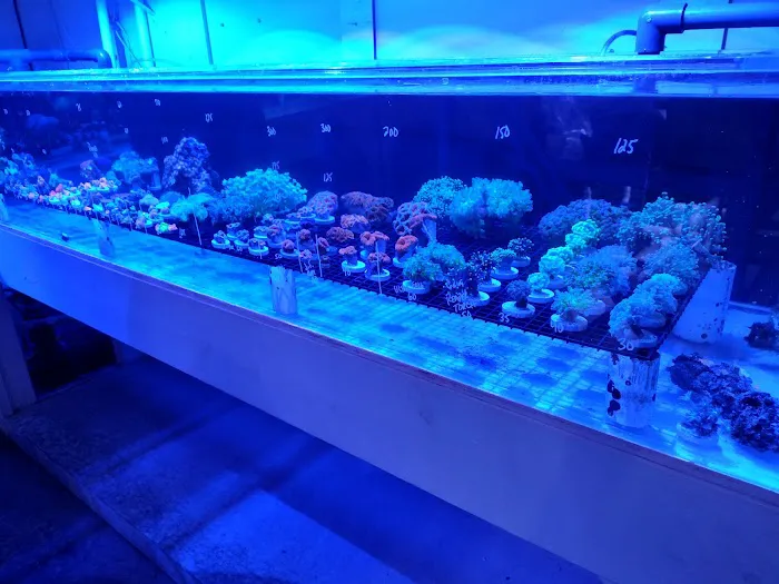 Modern Aquatix Picture 3