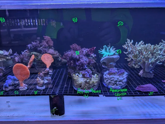 Modern Aquatix Picture 5