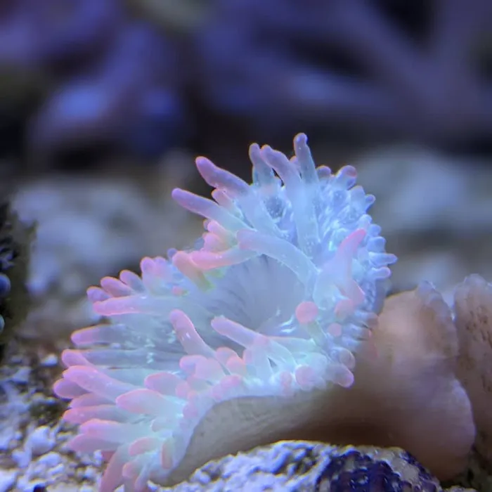 Modern Aquatix Picture 6