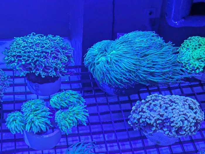 Modern Aquatix Picture 10