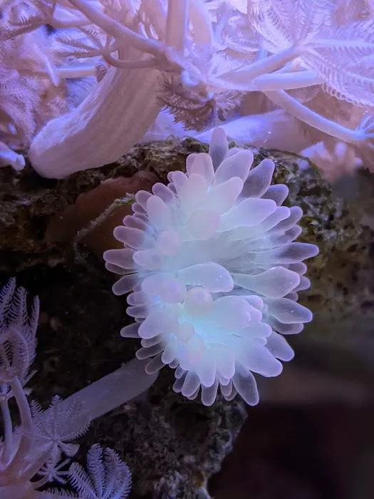Modern Aquatix Picture 9