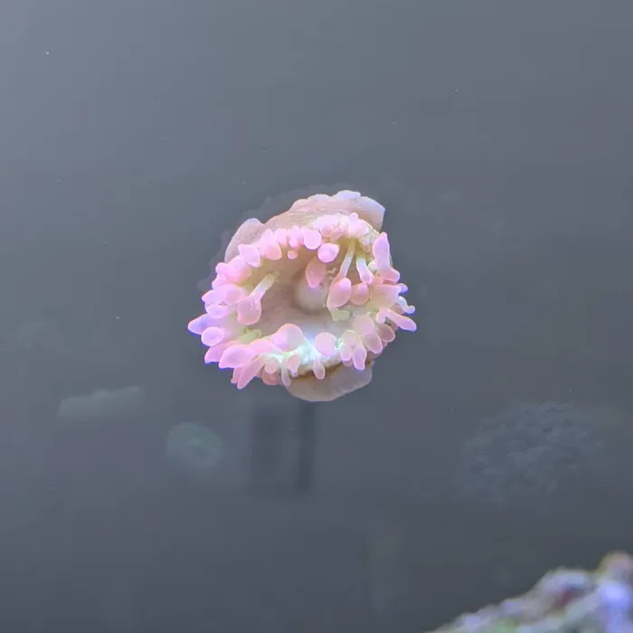 Modern Aquatix Picture 8