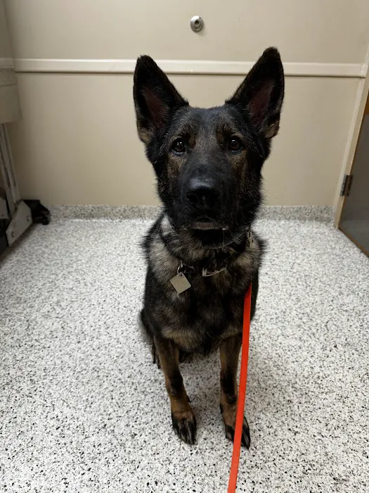 Brookville Road Animal Hospital Picture 8