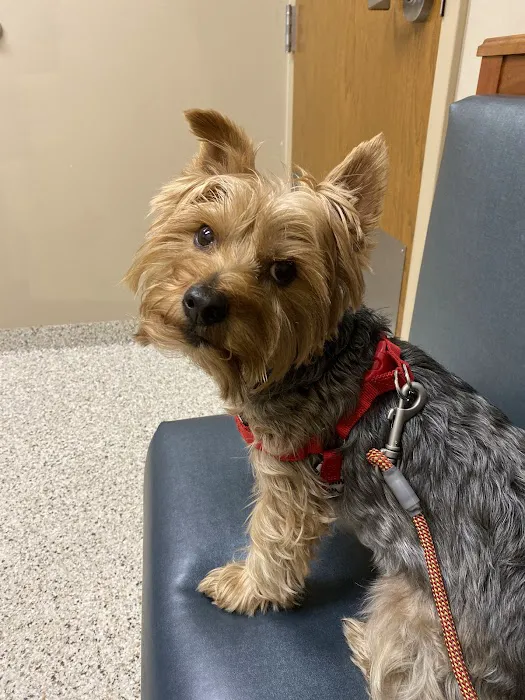 Brookville Road Animal Hospital Picture 2