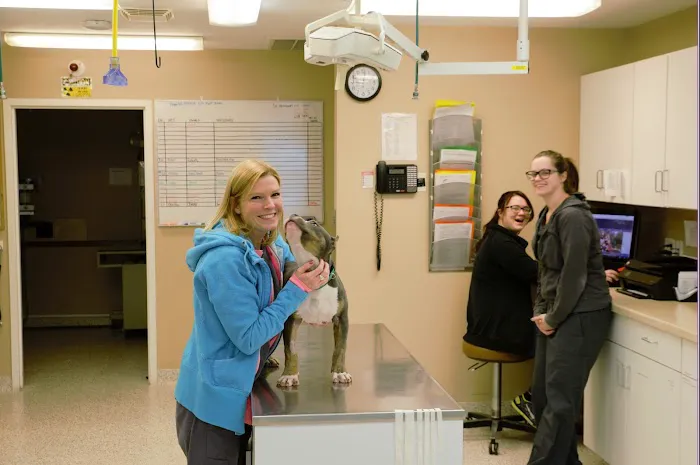 Brookville Road Animal Hospital Picture 7