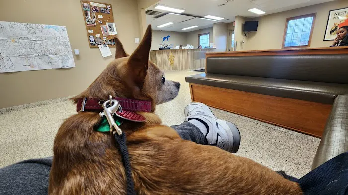 Brookville Road Animal Hospital Picture 5