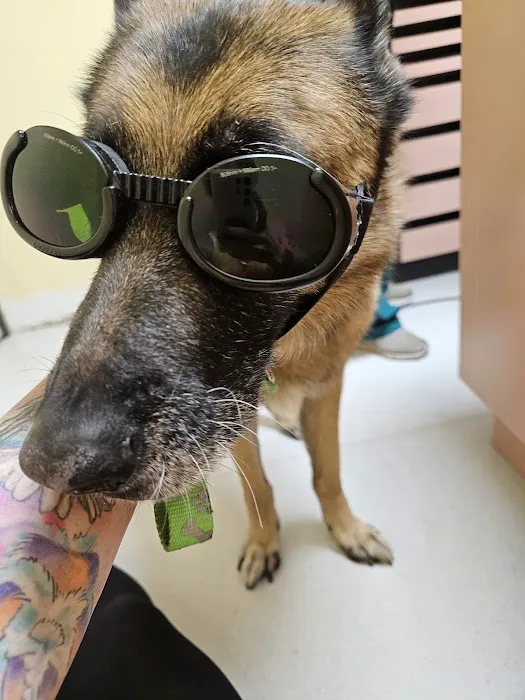 Animal Medical Center Picture 3