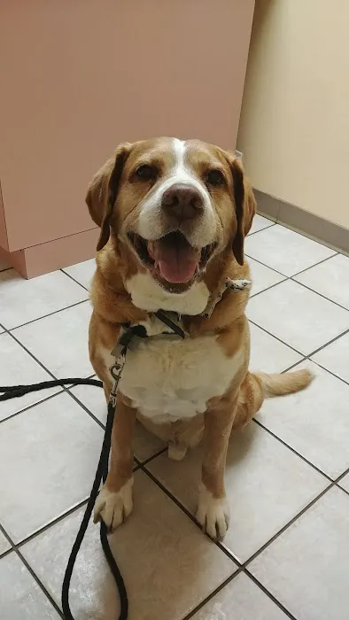 Animal Medical Center Picture 1