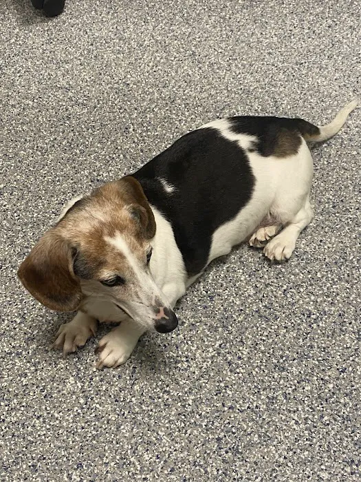 30th Street Animal Hospital Picture 9