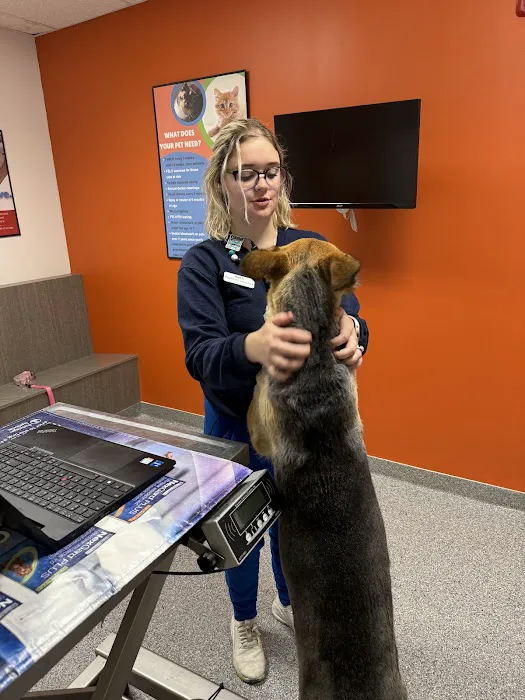 30th Street Animal Hospital Picture 5
