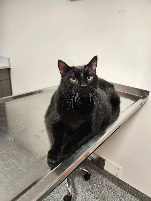 30th Street Animal Hospital Picture 1