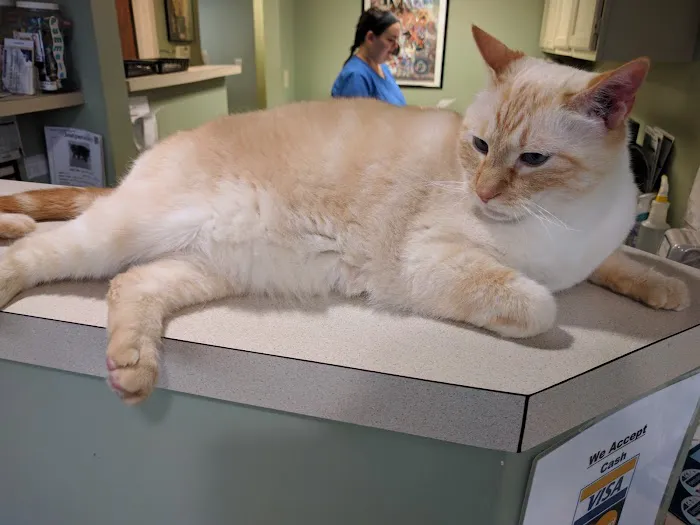 Irvington Pet Clinic Picture 1