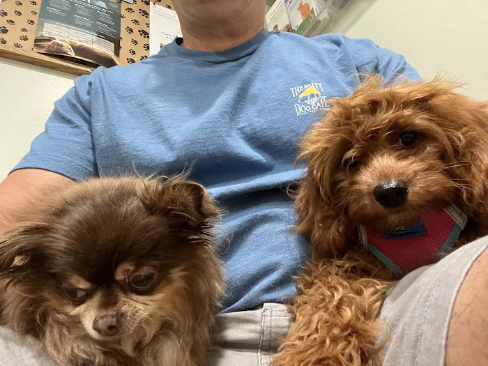Irvington Pet Clinic Picture 8