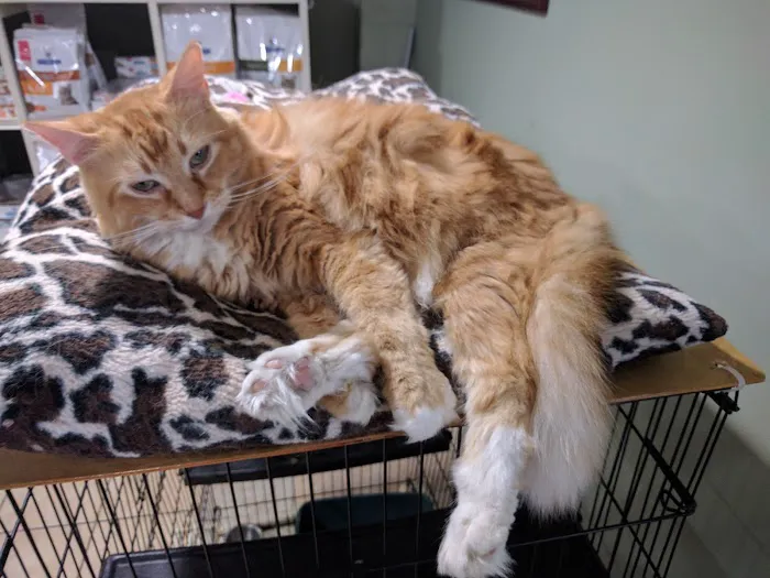 Irvington Pet Clinic Picture 9