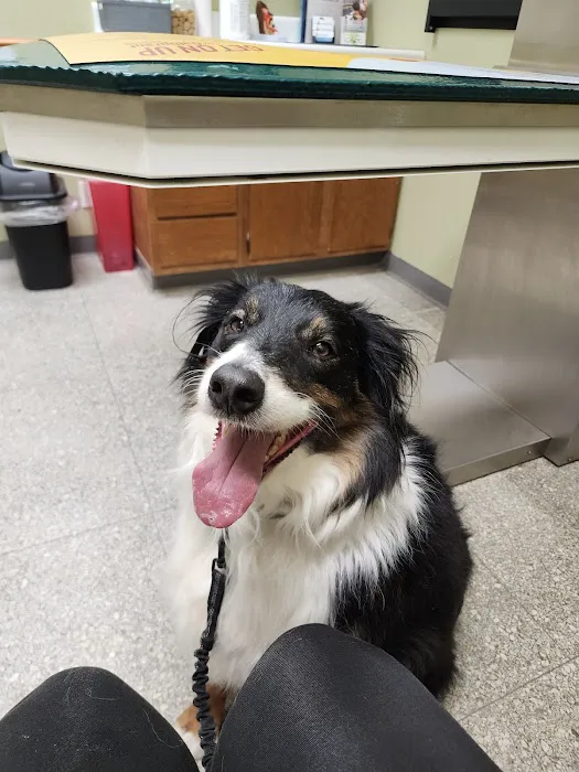 Noah's Brandywine Animal Hospital Picture 8
