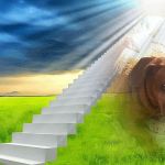 Noah's Brandywine Animal Hospital