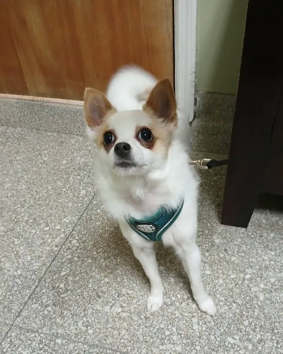 Noah's Brandywine Animal Hospital Picture 6