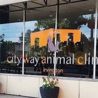 City Way Animal Clinics - Irvington ico