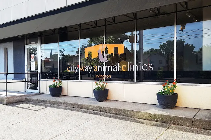 City Way Animal Clinics - Irvington Picture 7