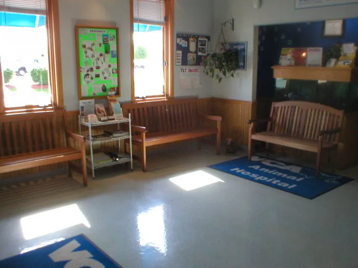 VCA Beech Grove Animal Hospital Picture 7