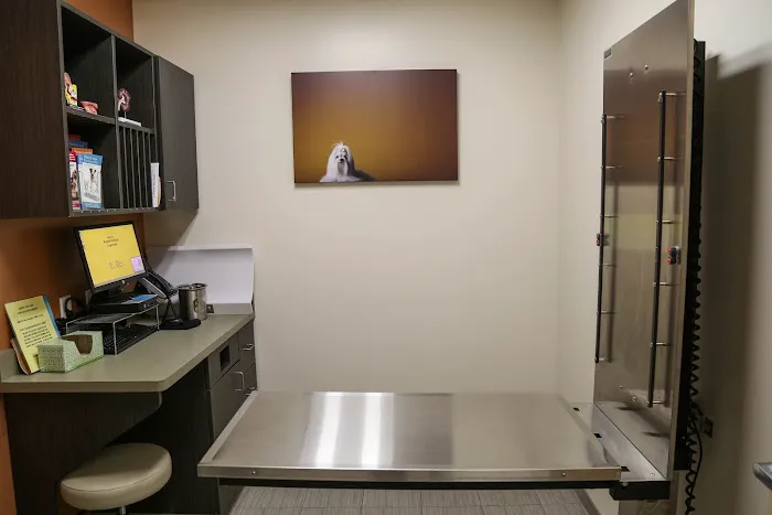 VCA Beech Grove Animal Hospital Picture 10