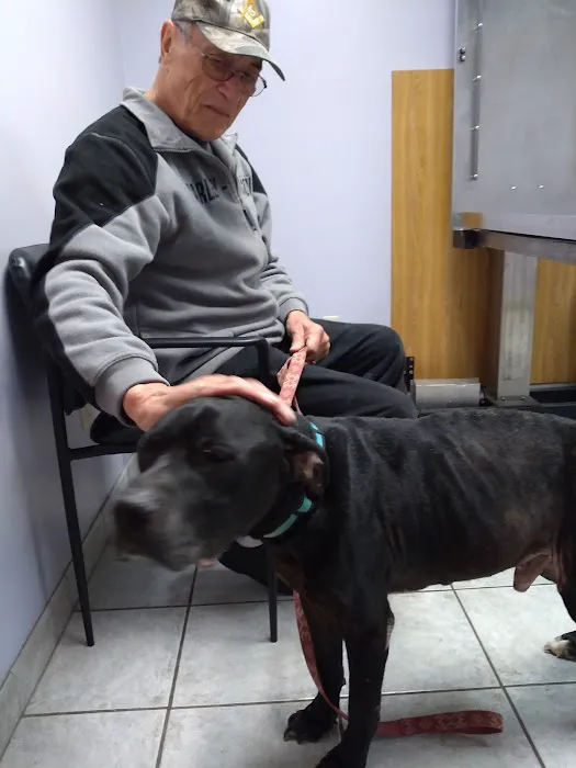 Middletown Animal Hospital Picture 5