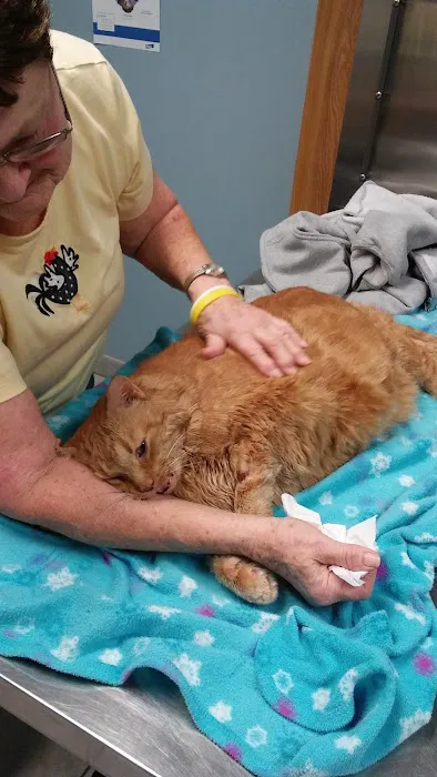 Middletown Animal Hospital Picture 8