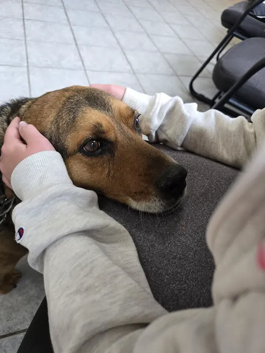Middletown Animal Hospital Picture 4