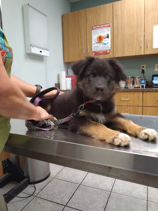 Middletown Animal Hospital Picture 3