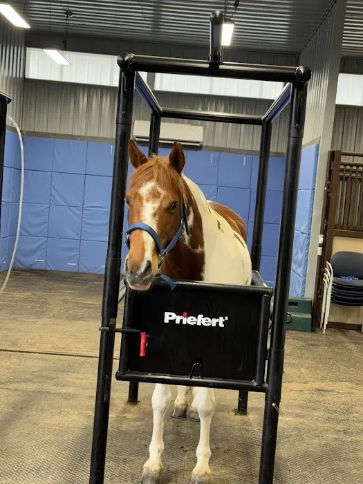 SKILLMAN Veterinary Services- Equine Veterinarian Clinic Picture 3