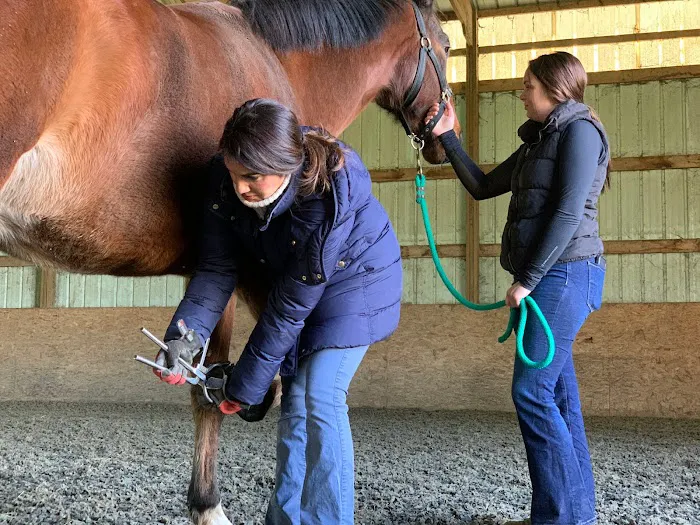 SKILLMAN Veterinary Services- Equine Veterinarian Clinic Picture 1
